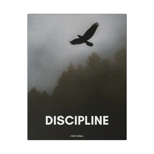 Discipline Matte Canvas, Stretched