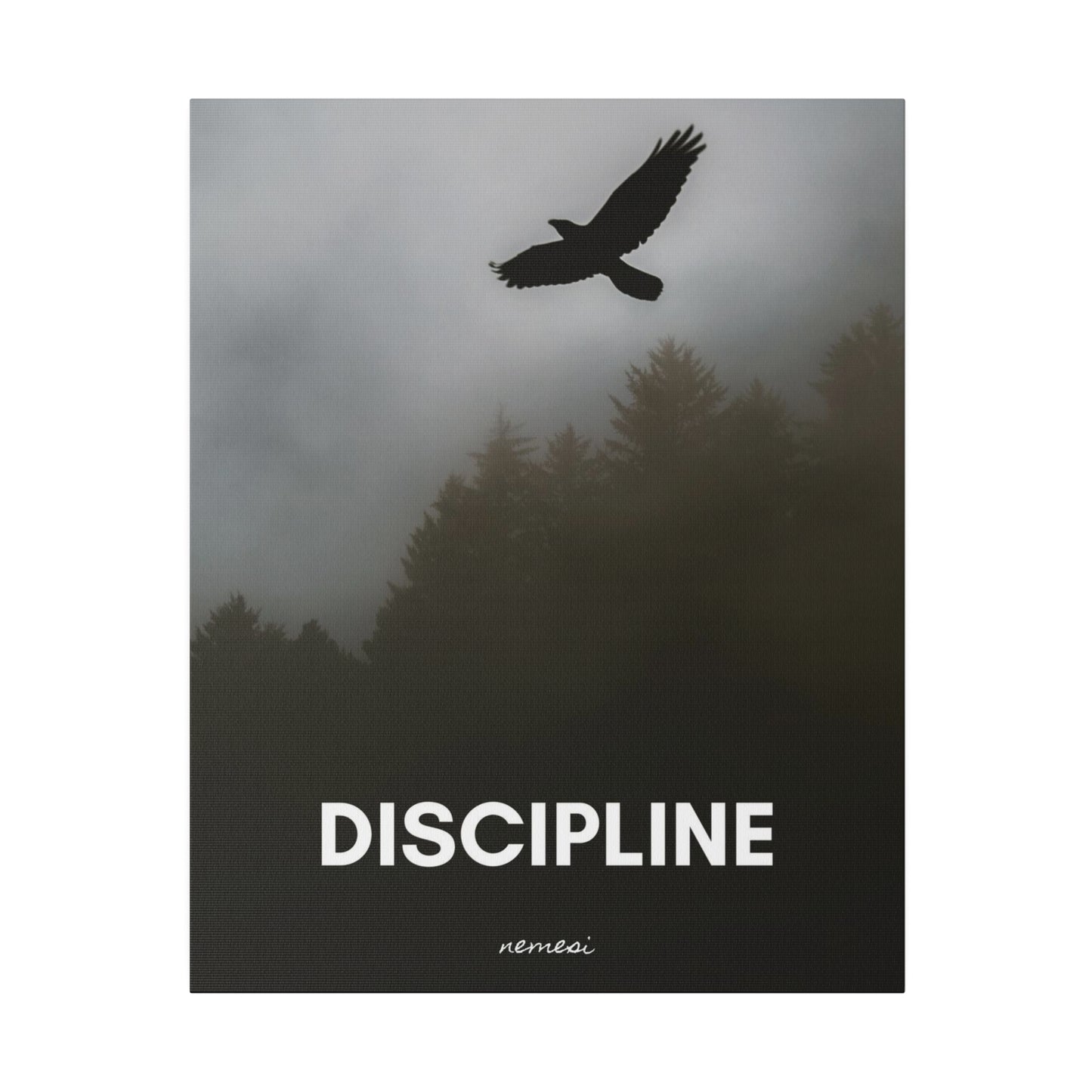 Discipline Matte Canvas, Stretched