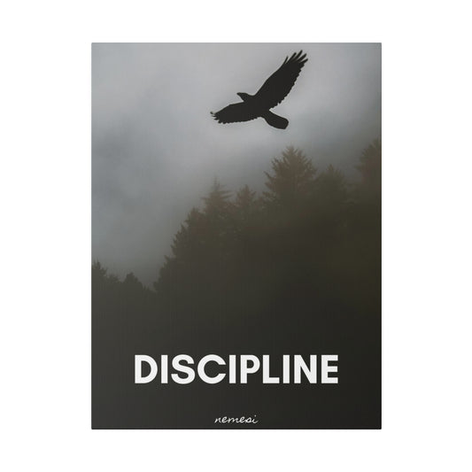 Discipline Matte Canvas, Stretched