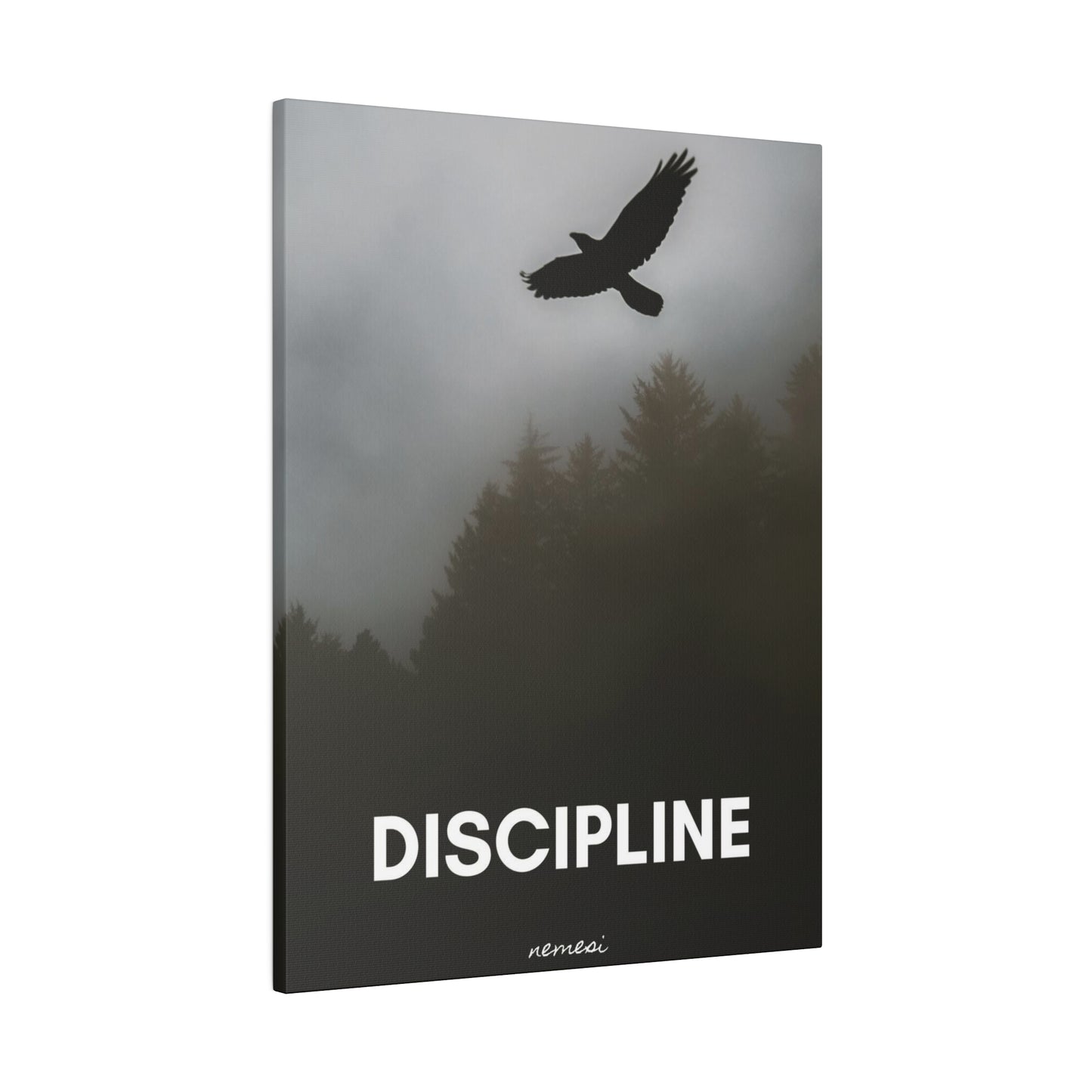 Discipline Matte Canvas, Stretched